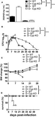 Vitamin D Is Required for ILC3 Derived IL-22 and Protection From Citrobacter rodentium Infection